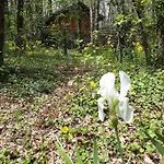 Tatil Evi Etna *