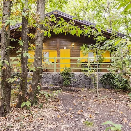 Etna Holiday home