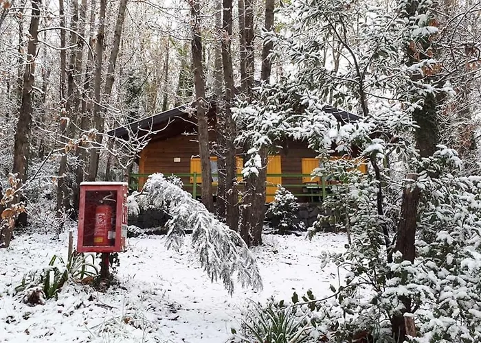 Etna Tatil Evi *