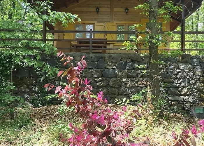 Tatil Evi Etna *